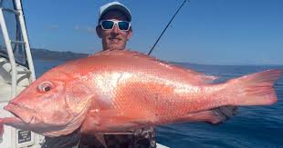 Prize Catch